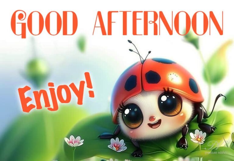 Good Afternoon Wishes