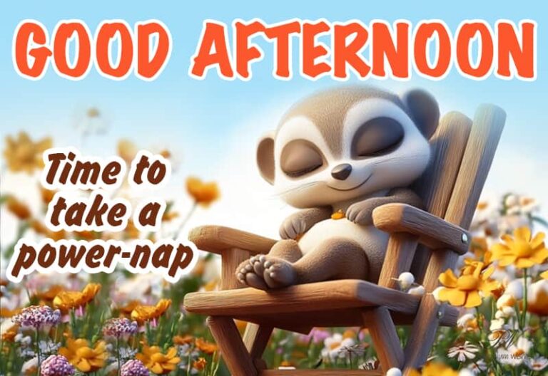 Good Afternoon Wishes