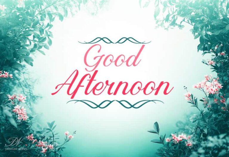 Good Afternoon Wishes