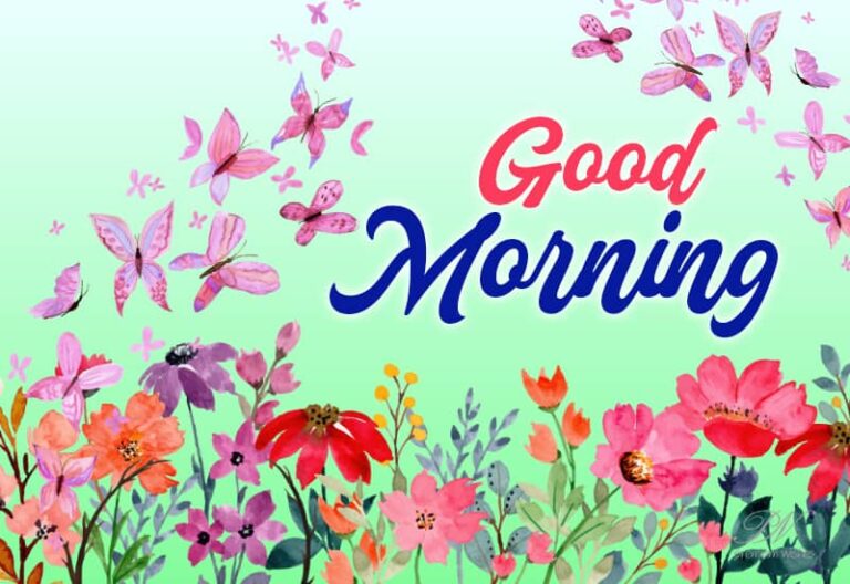 Friends Good Morning – Enjoy the morning and the day ahead