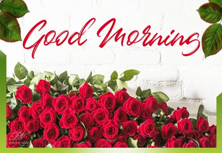 Good Morning – Sending some roses to lift your mood this weekend