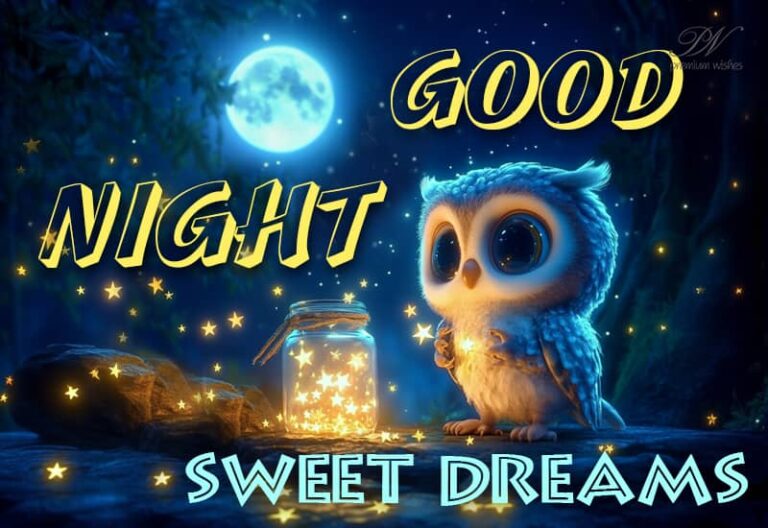 Good Night Wishes