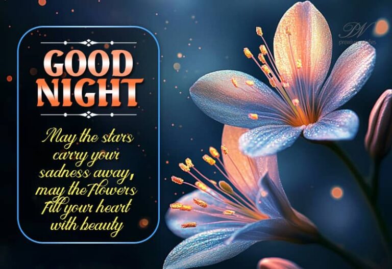 Good Night Wishes