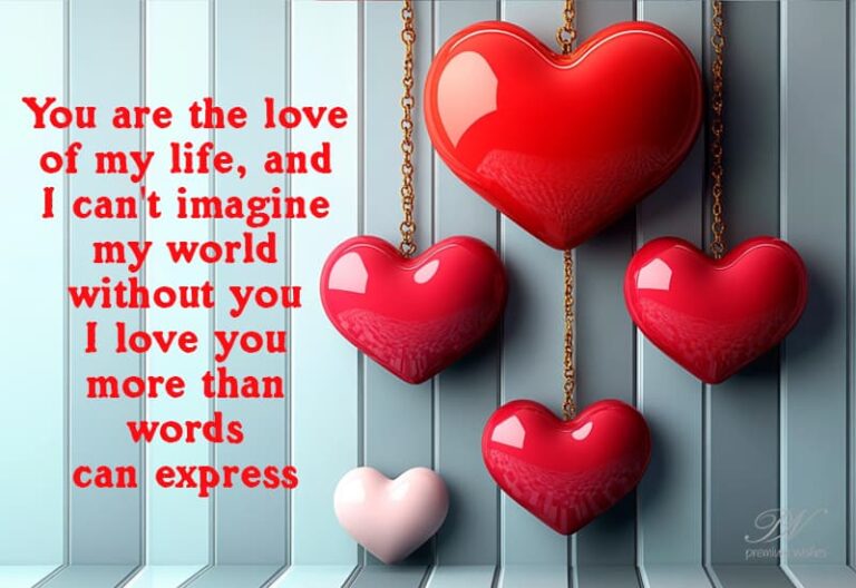 You are the love of my life, and I can’t imagine my world without you – I love you more than words can express