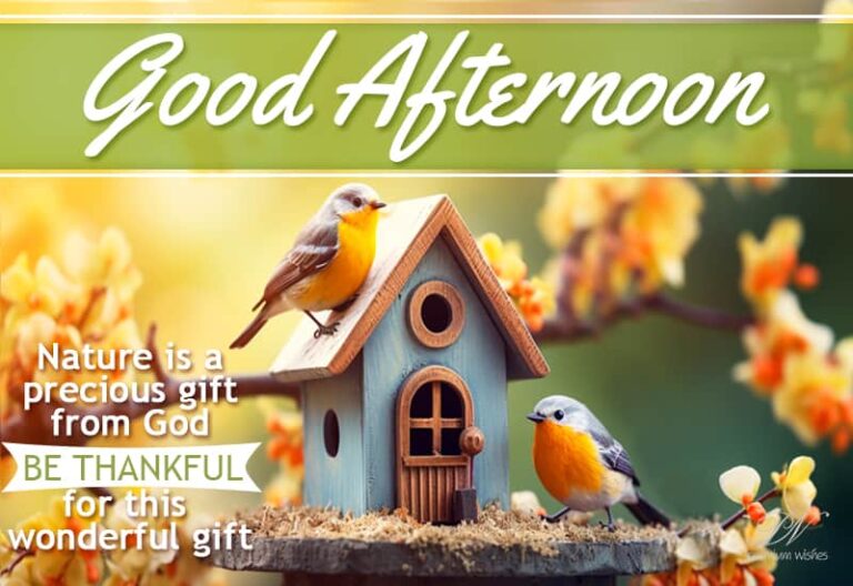 Good Afternoon Wishes