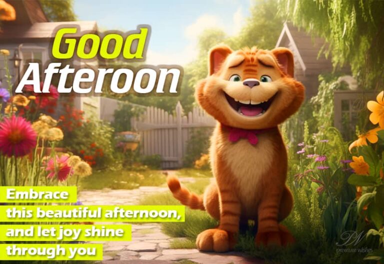 Good Afternoon – Embrace this beautiful afternoon and let joy shine through you
