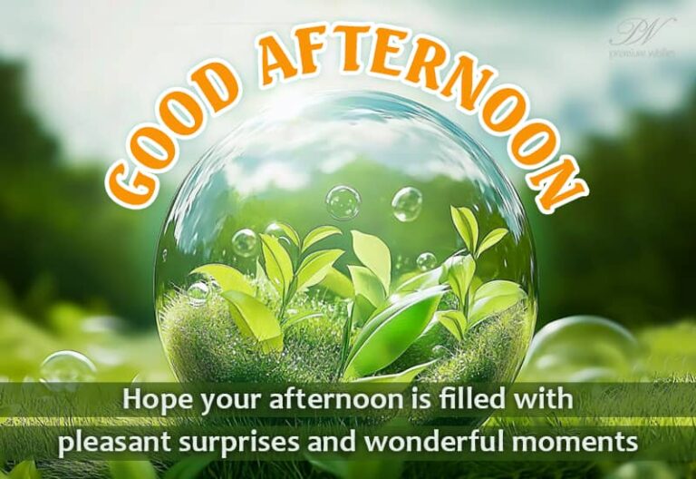 Good Afternoon Wishes