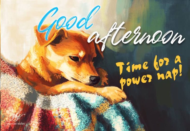 Good Afternoon Wishes