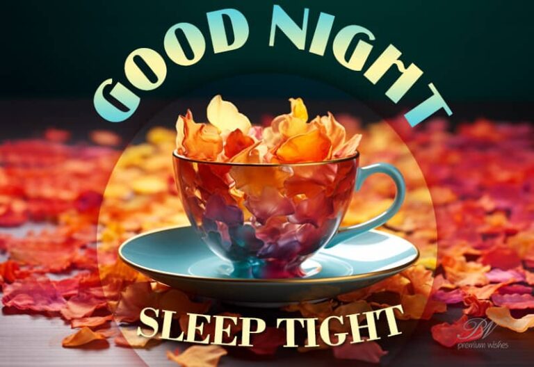 Good Night Wishes