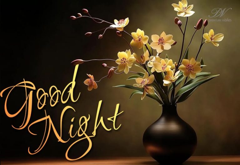 Good Night Wishes