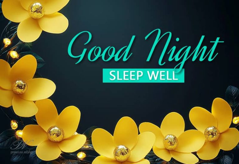 Good Night Wishes
