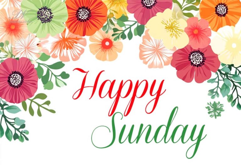 Happy Sunday – It is your Funday – Enjoy