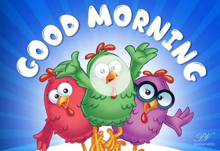 Best Bird New Video of Good Morning – Beautiful Good Morning Greetings
