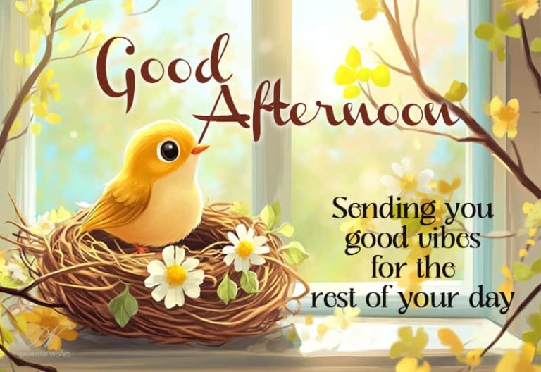 Good Afternoon Wishes