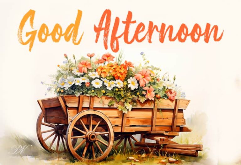 Good Afternoon Wishes