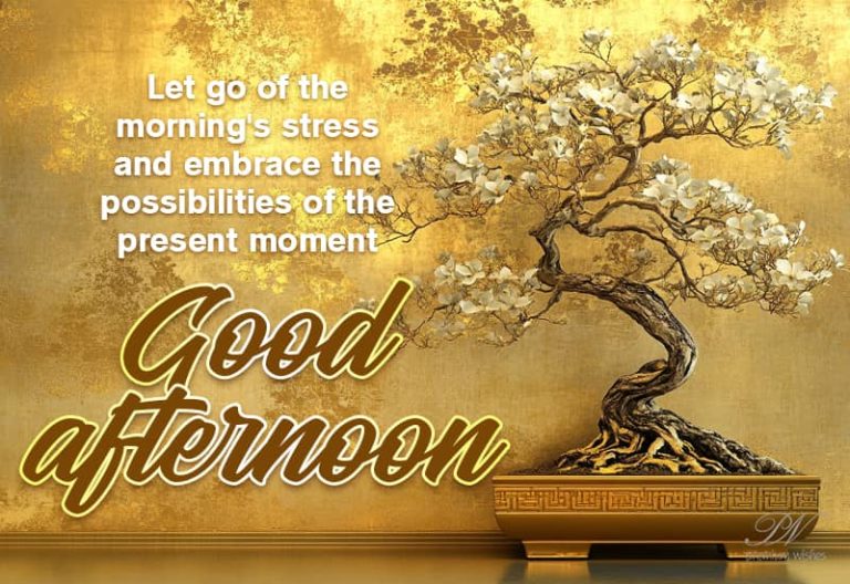 Good Afternoon Wishes