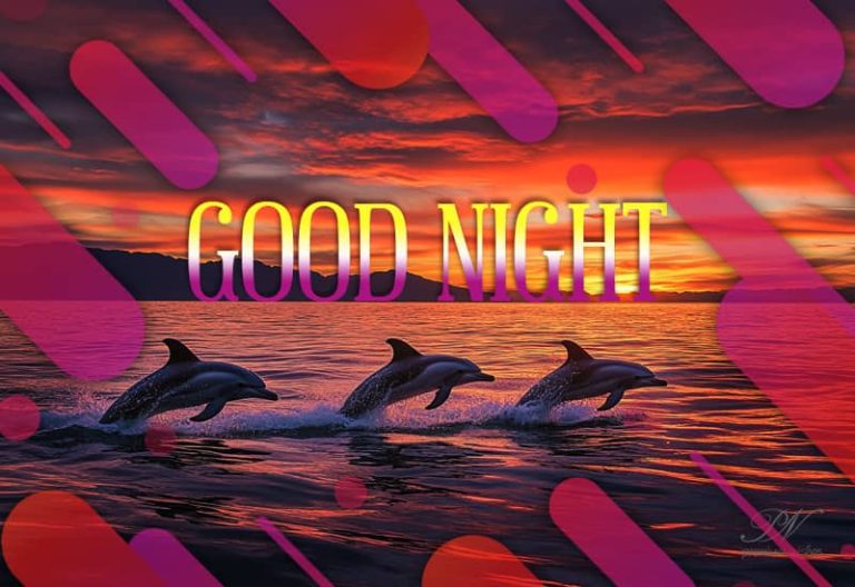 Good Night Wishes