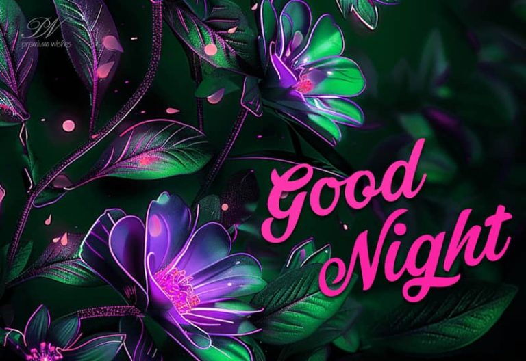 Good Night Wishes
