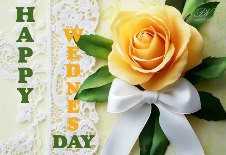 Happy Wednesday – May your day be filled with joy, laughter, and amusing moments