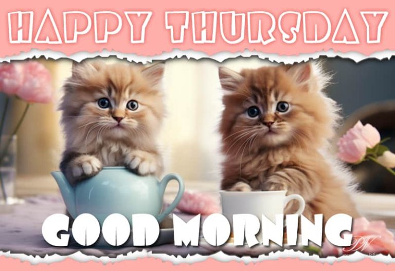Happy Thursday – Good Morning – Cheers to friendship