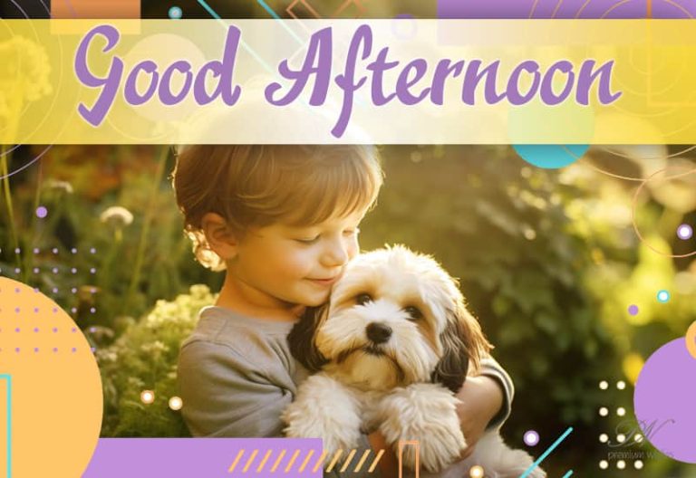 Good Afternoon Wishes
