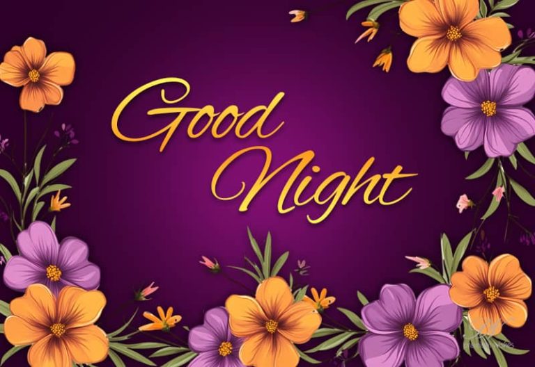Good Night Wishes