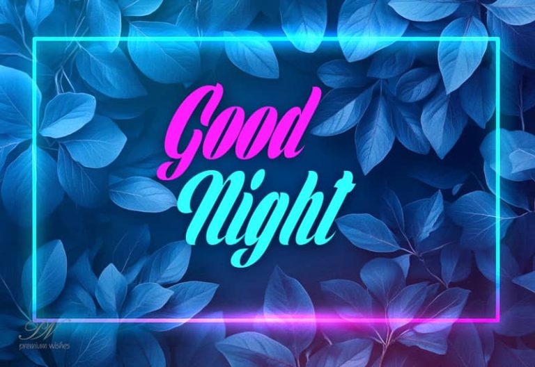 Good Night Wishes