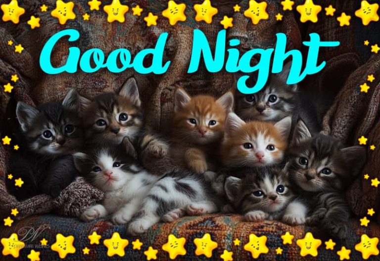 Good Night Wishes
