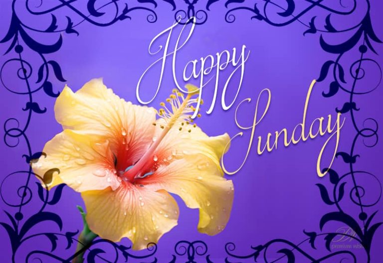 Happy Sunday – Enjoy This Funday To The Fullest