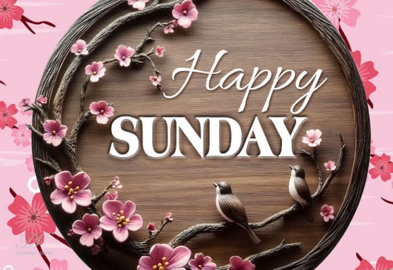 Happy Sunday – Have a fun day and a fabulous weekend
