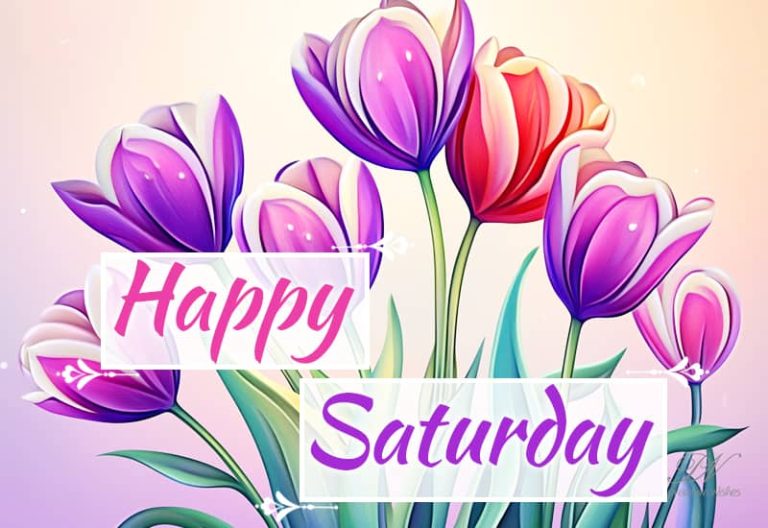 Good Morning – Happy Saturday – Enjoy The Beauty Of This Morning