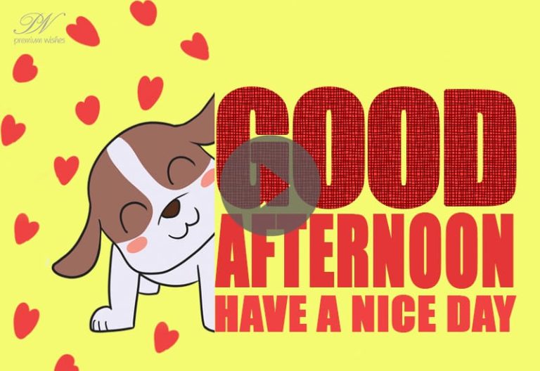 Cute Good Afternoon Whats App Status  – Good Afternoon Cute Images
