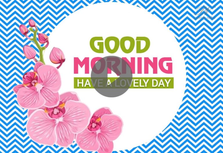 Pink Flowers Video with Good Morning Wish, Good Morning Whats App Status