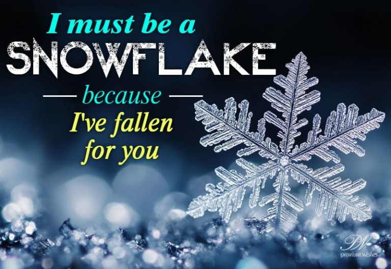 I must be a SNOWFLAKE because I have fallen for you