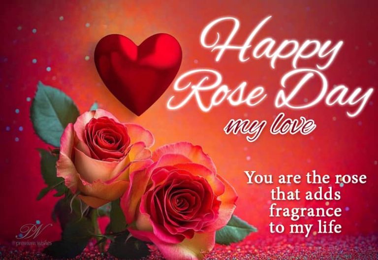 Happy Rose Day my love – You are the rose that adds fragrance to my life