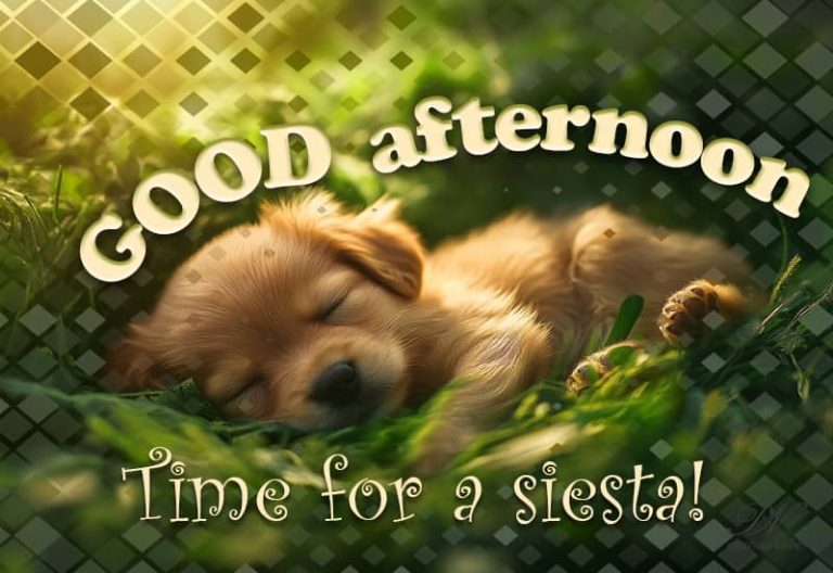 Good Afternoon Wishes
