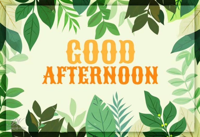 Good Afternoon Wishes