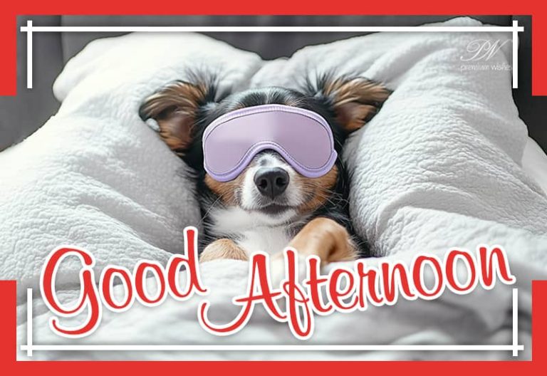 Good Afternoon Wishes