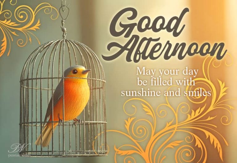 Good Afternoon – Friends May your day be filled with sunshine and smiles