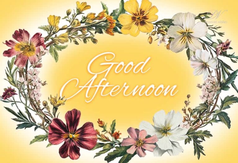 Good Afternoon Wishes