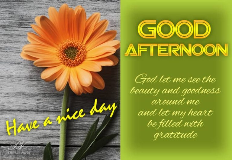 Good Afternoon Wishes