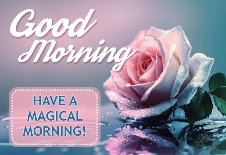 Good Morning – Have a nice and magical morning