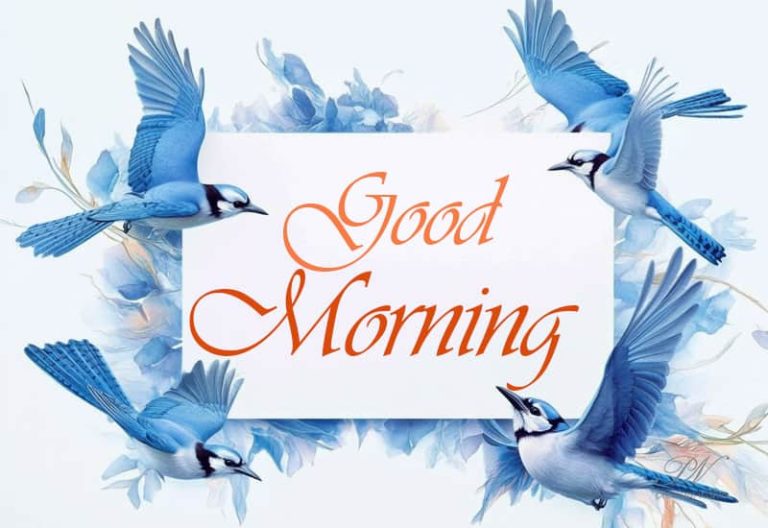 Good Morning – Fly high and enjoy
