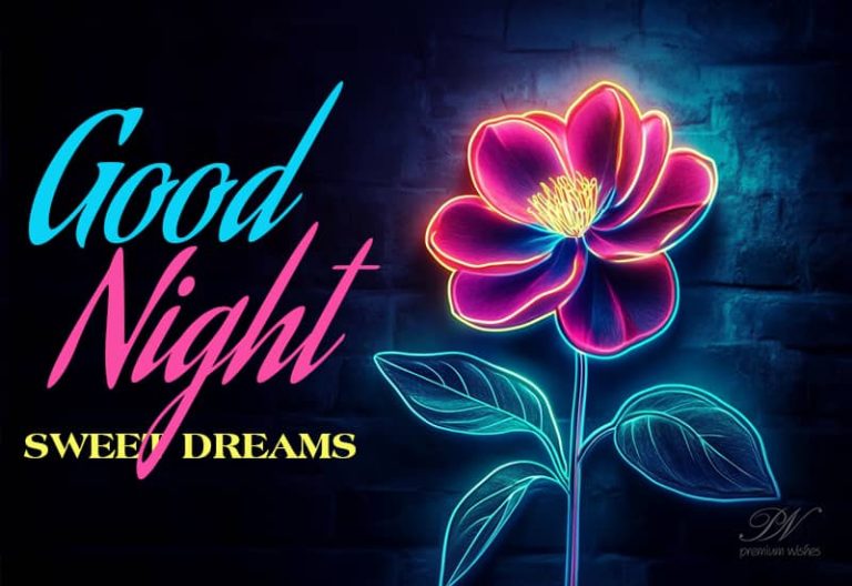 Good Night Wishes