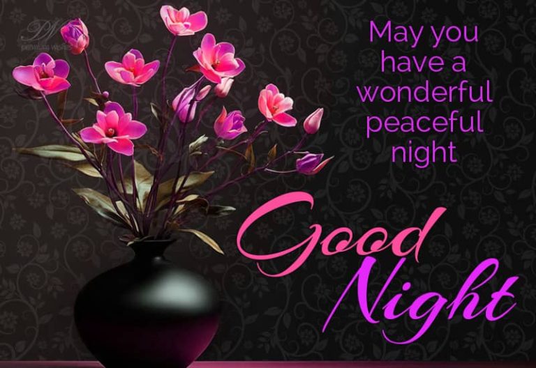 Good Night Wishes
