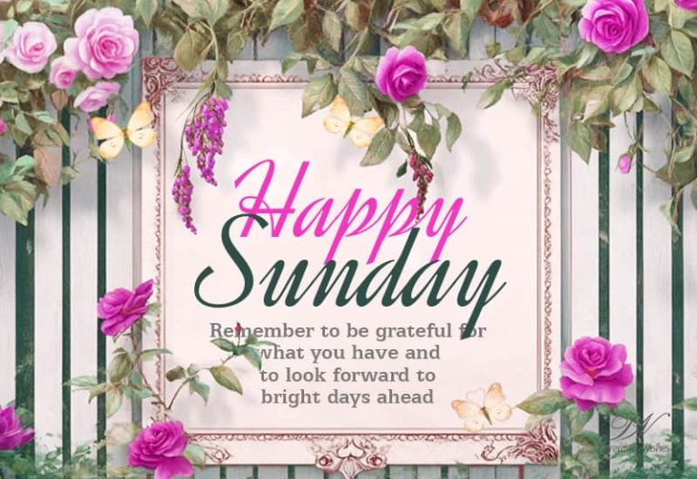 Happy Sunday – Remember to be grateful for what you have