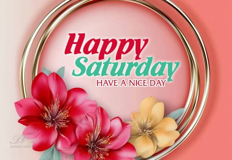 Happy Saturday – Have a nice weekend and great day