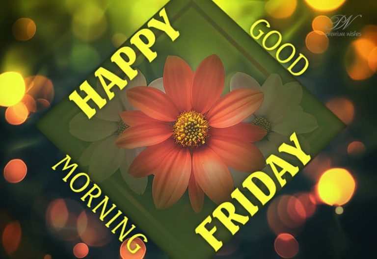 Good Morning Friends – Happy Friday – Have a nice day