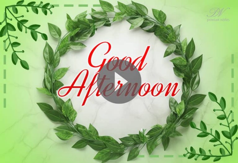 Best Afternoon Whatapp Status Video , Good Afternoon Greetings with beautiful leaves