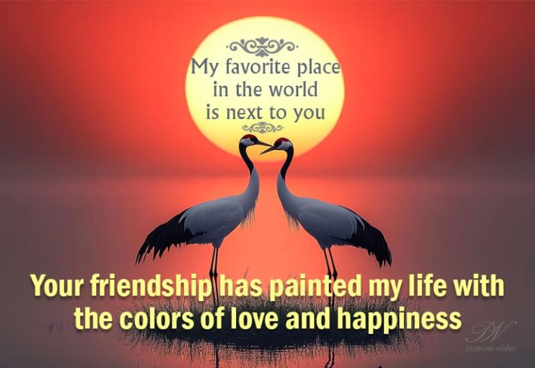 My favourite place in the world is next to you